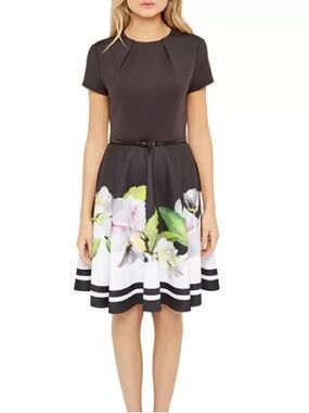 Ted Baker Vidaa Forget-Me-Not Skater Dress Size 2 Floral Fit-and-Flare with Belt